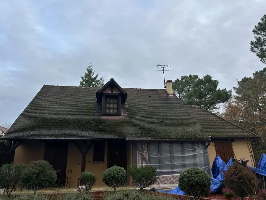 Nettoyage de toiture avant intervention