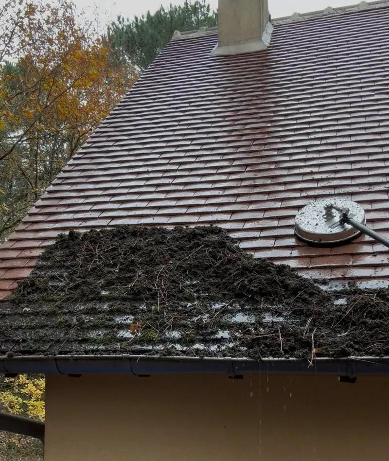 Nettoyage de toitures en Centre-Val de loire